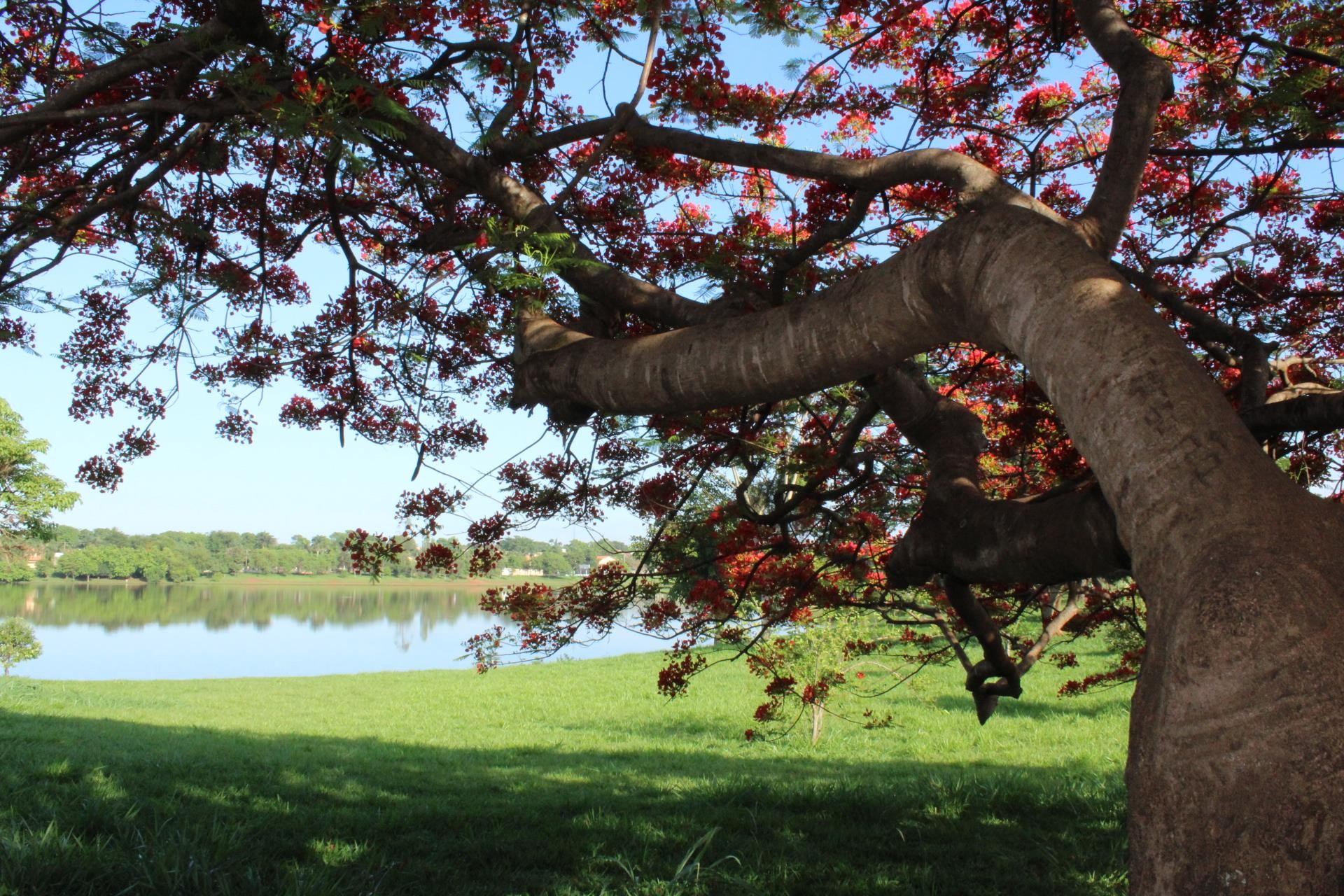 Lago da Vila Residencial de Planura