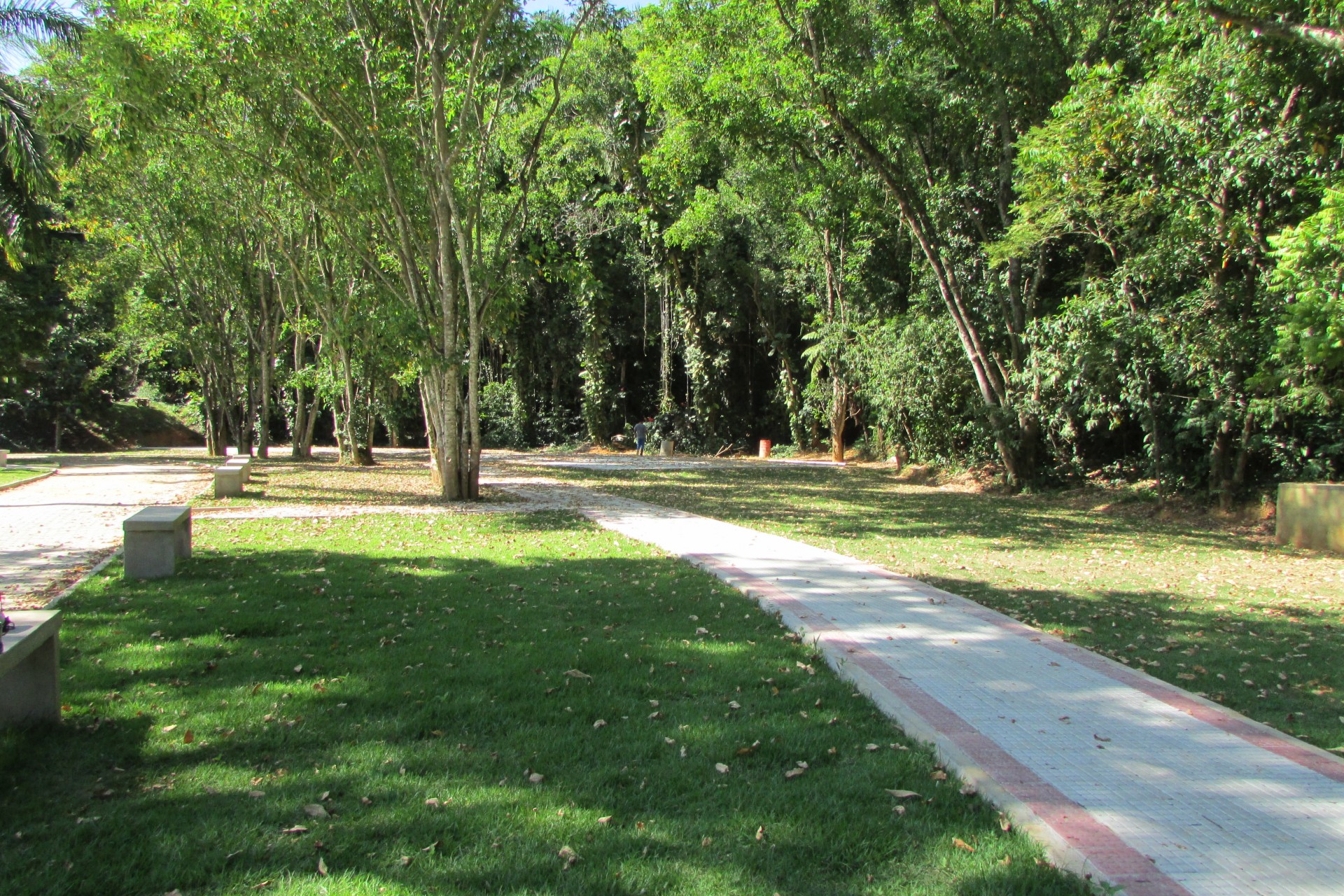 Lagoa da Gávea