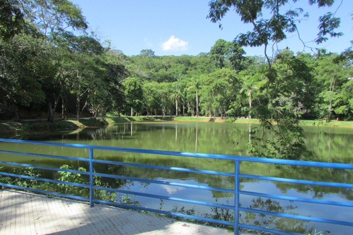 Lagoa da Gávea