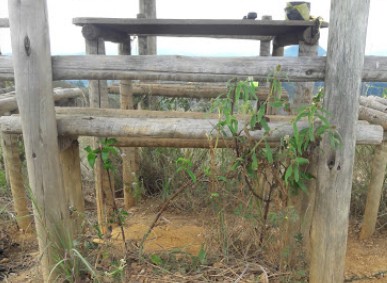 Centro de Educação e Proteção Ambiental Vale dos Cristais