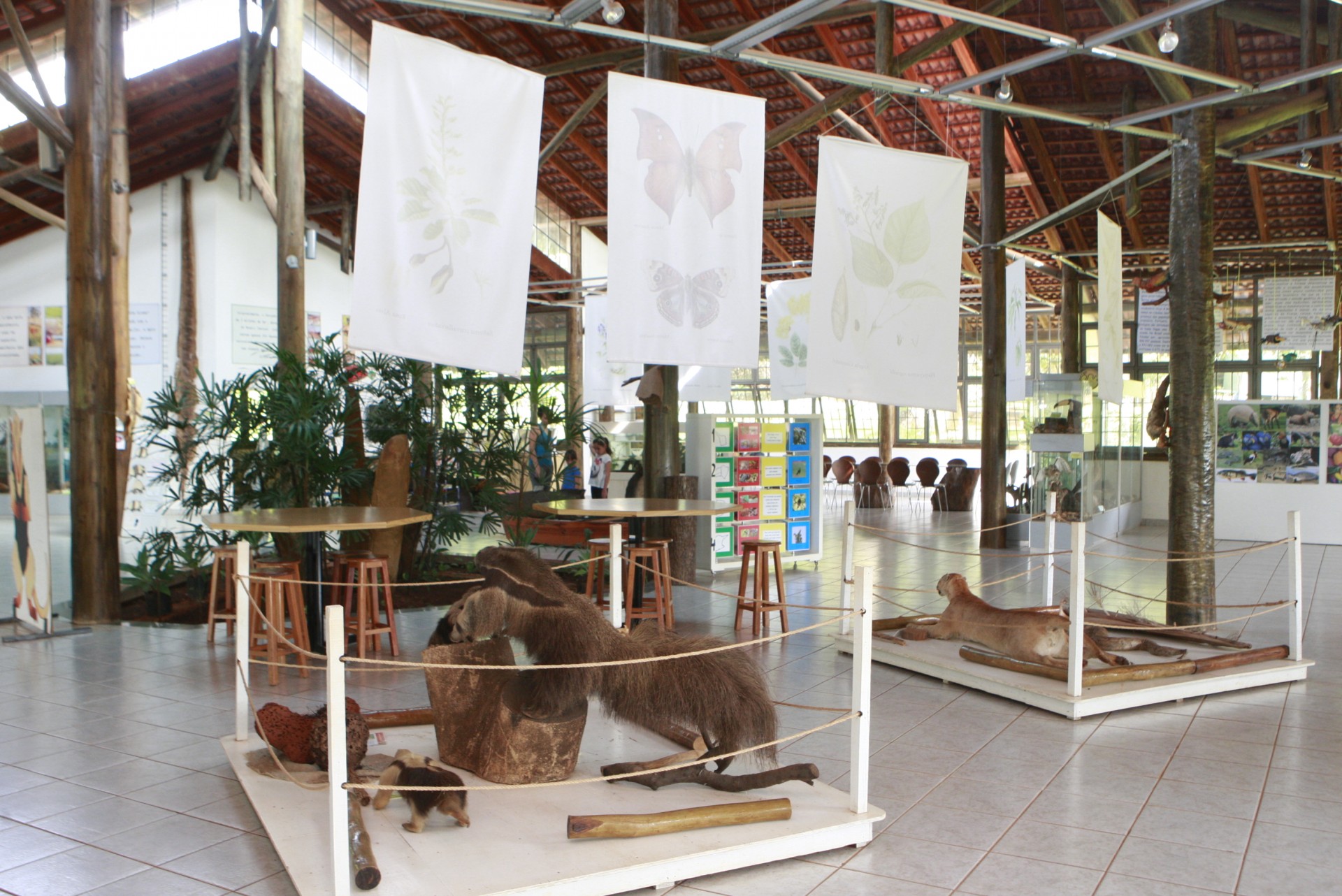 Parque Municipal Victório Siquierolli