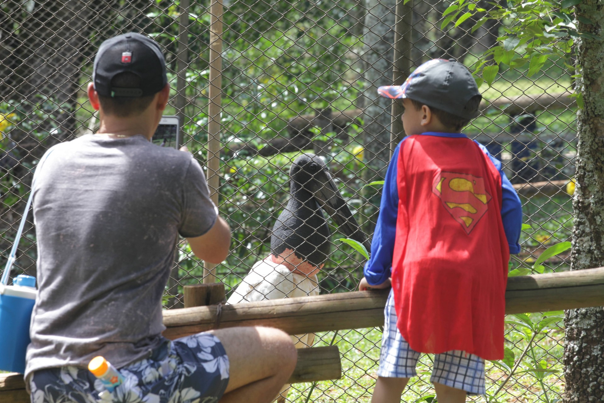 Zoológico Municipal 