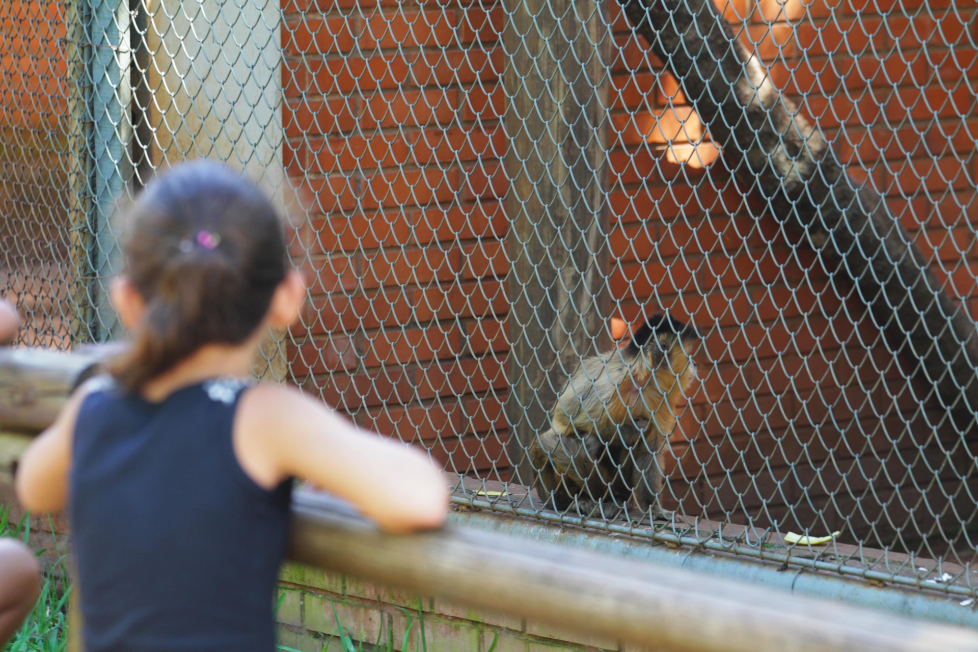 Zoológico Municipal 