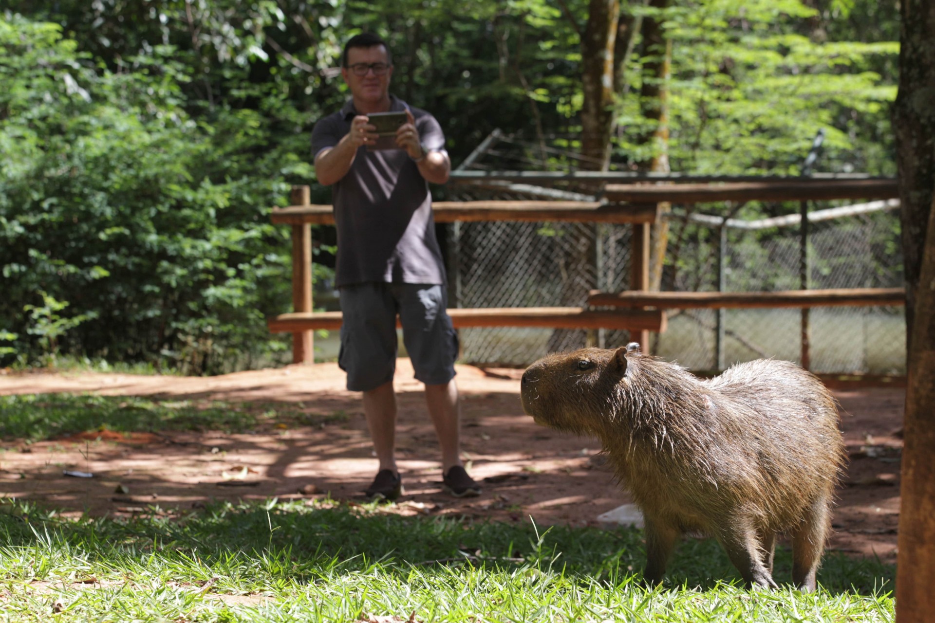 Zoológico Municipal 