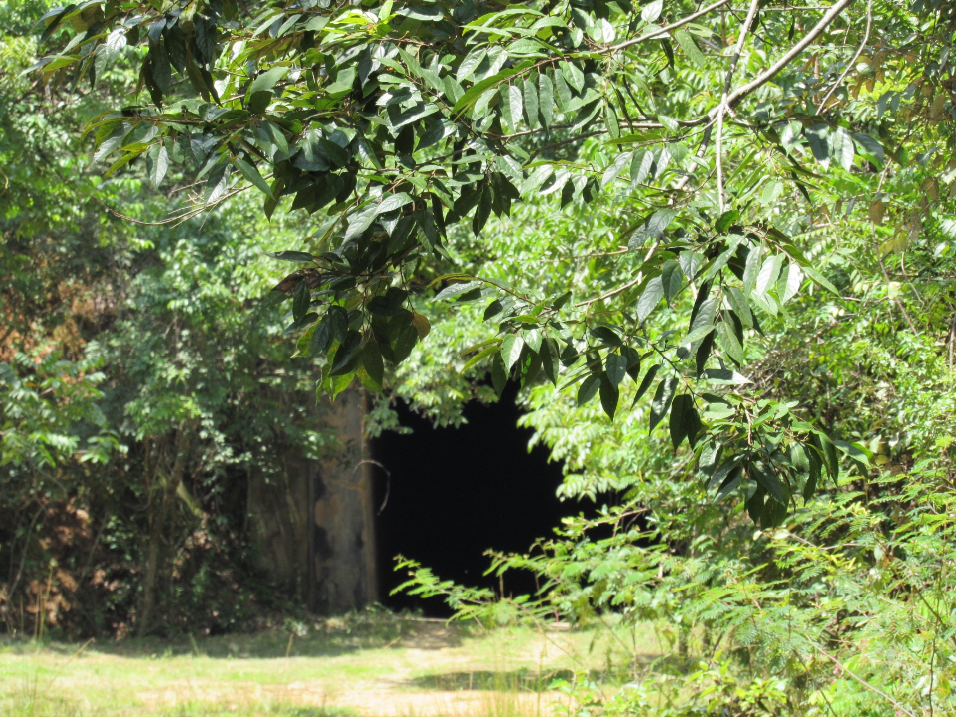 Conjunto paisagístico dos tuneis  