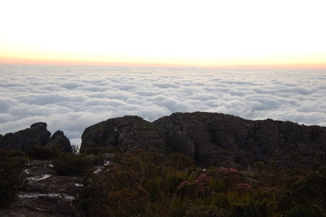 Pico do Inficionado