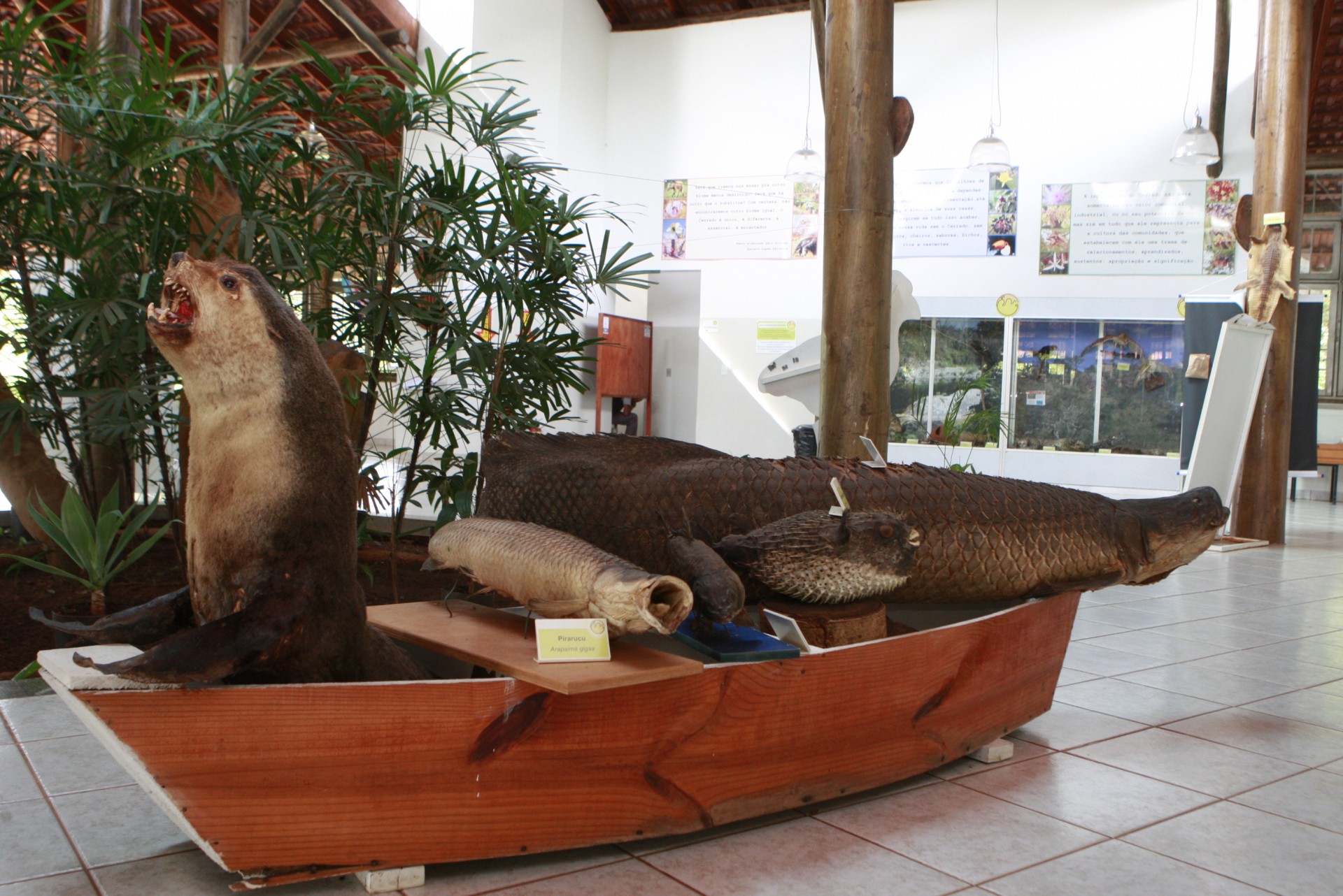 Museu de Biodiversidade do Cerrado 