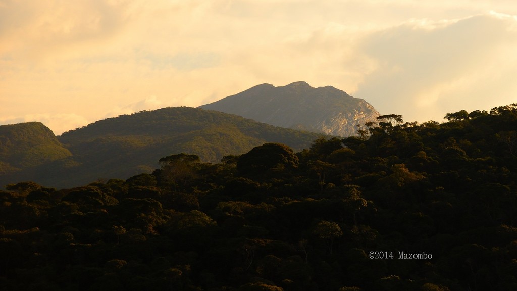 Pico Três Irmãos