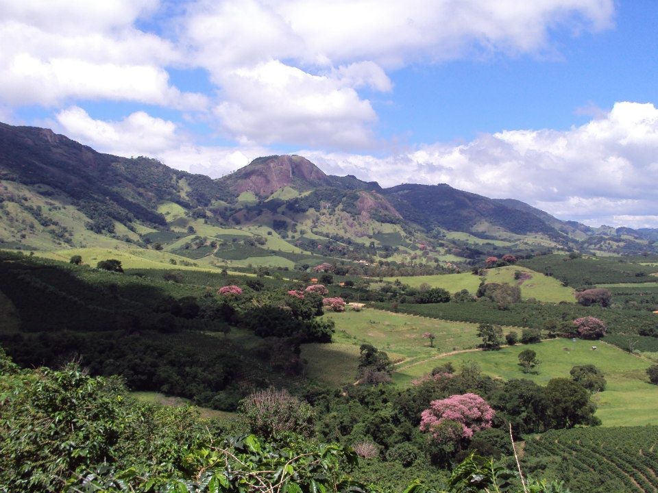 Serra do Pau D'Alho