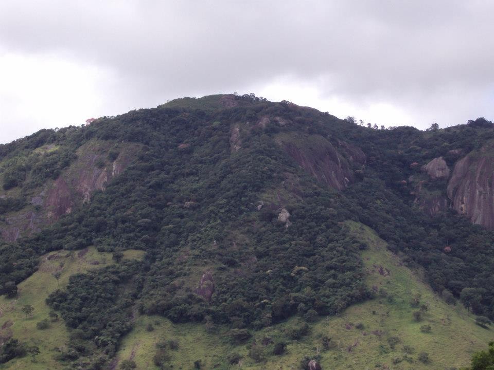 Serra do Pau D'Alho