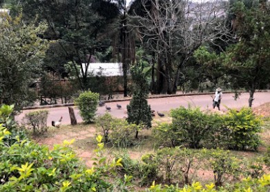 Centro de Educação Ambiental