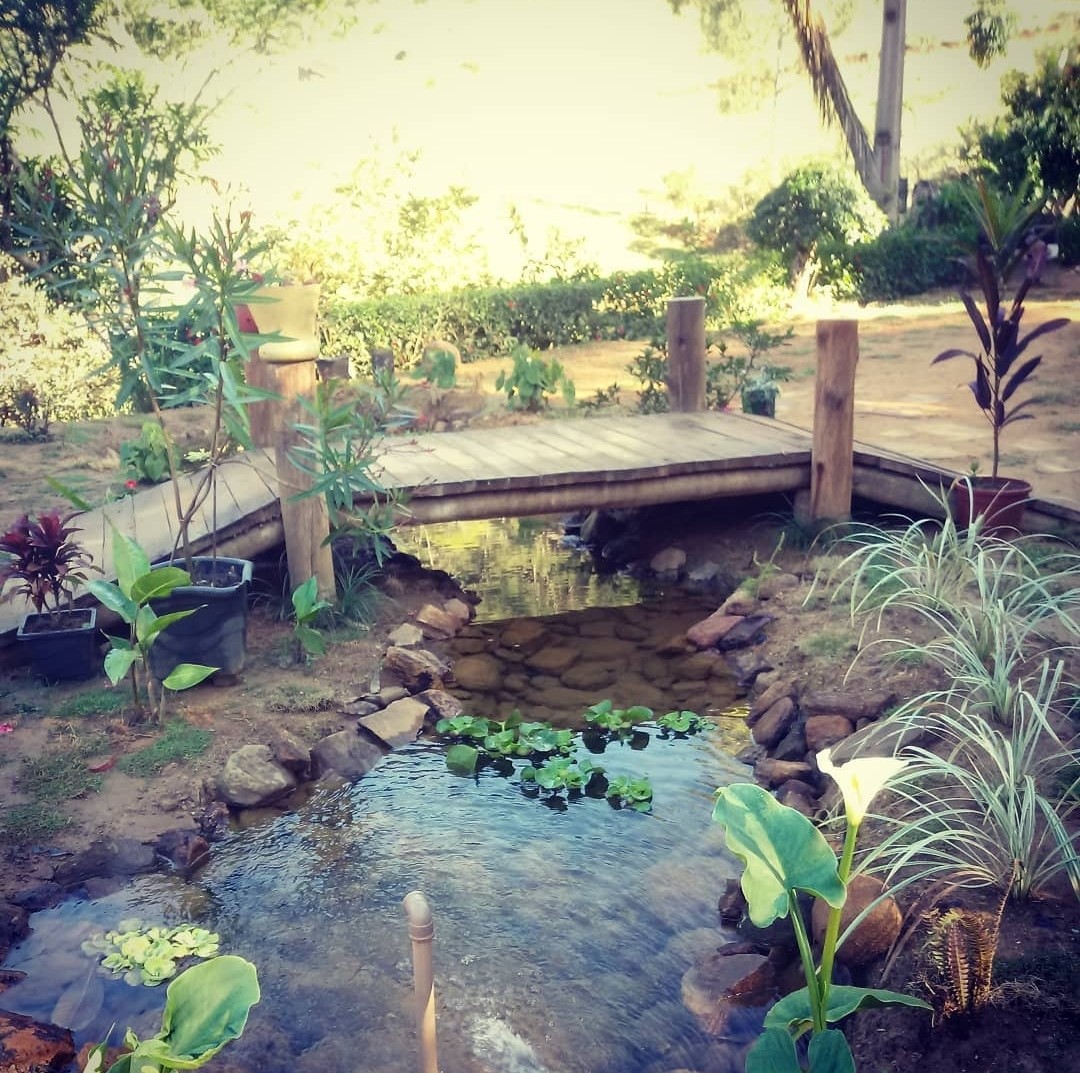 Verde Aventuras