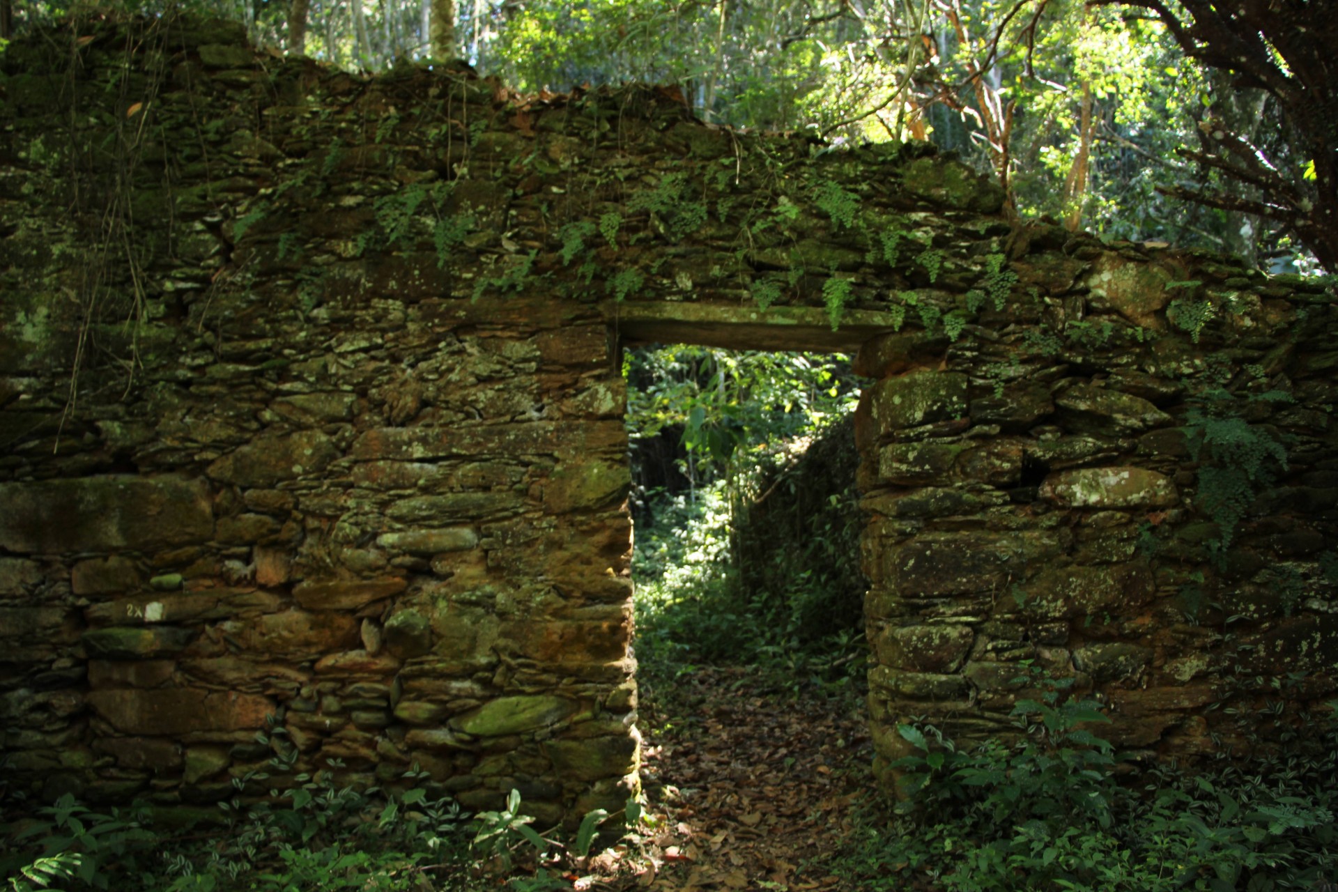 Caminho do Sabarabuçu