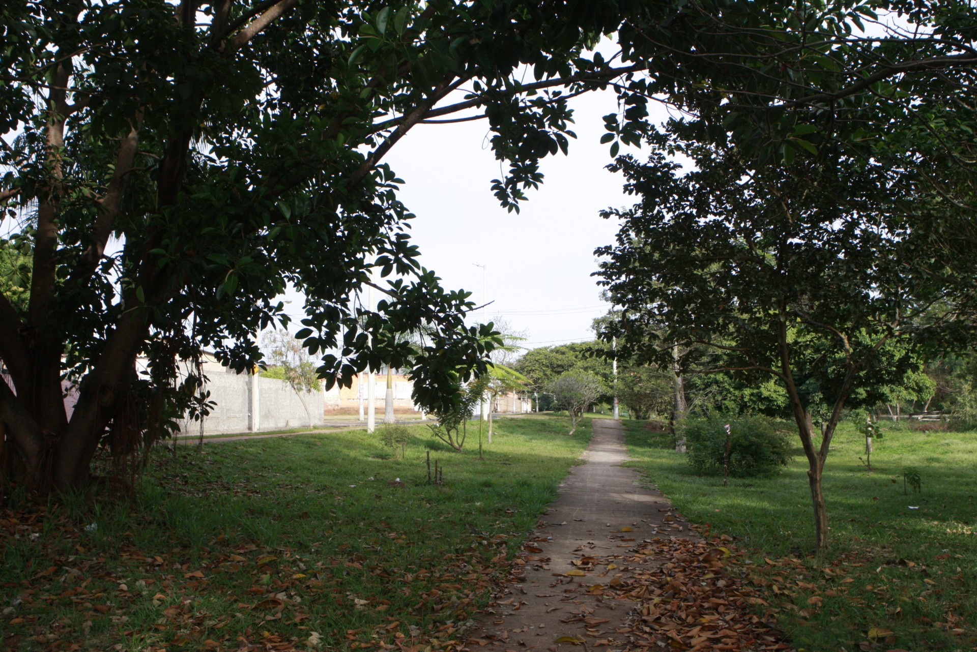 Parque Linear do Córrego do Óleo