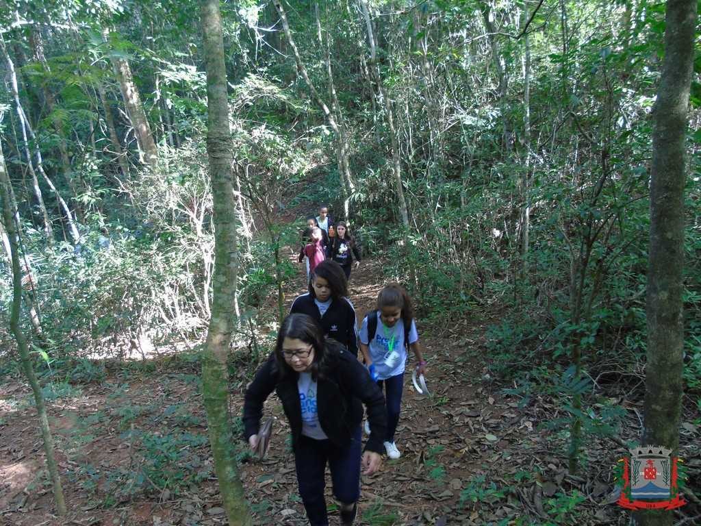 Horto Florestal