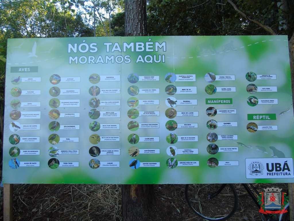 Horto Florestal