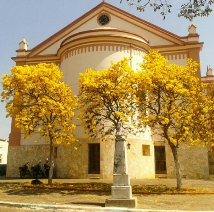 Igreja Matriz Nossa Senhora do Patrocínio