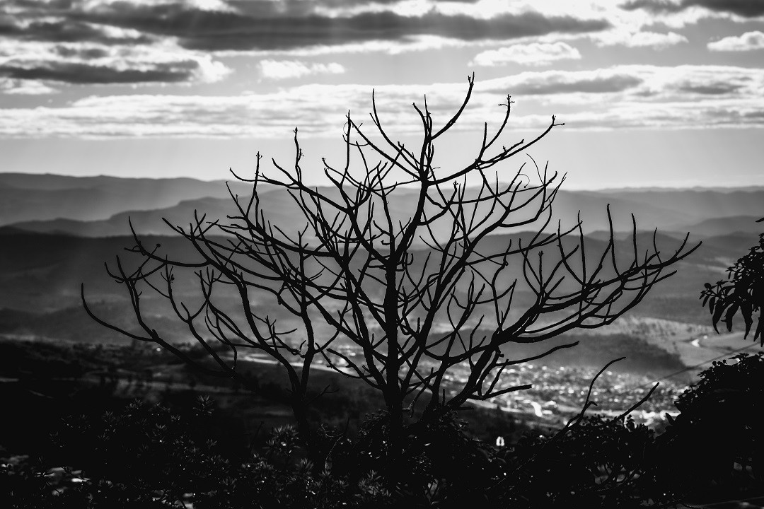 Serra da Ferrugem
