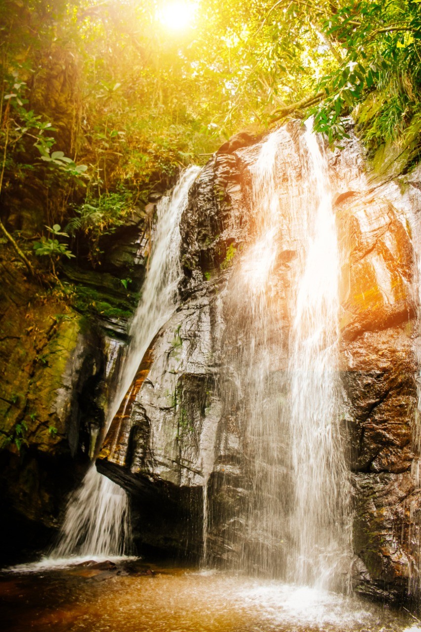 Parque Estadual Serra Negra da Mantiqueira