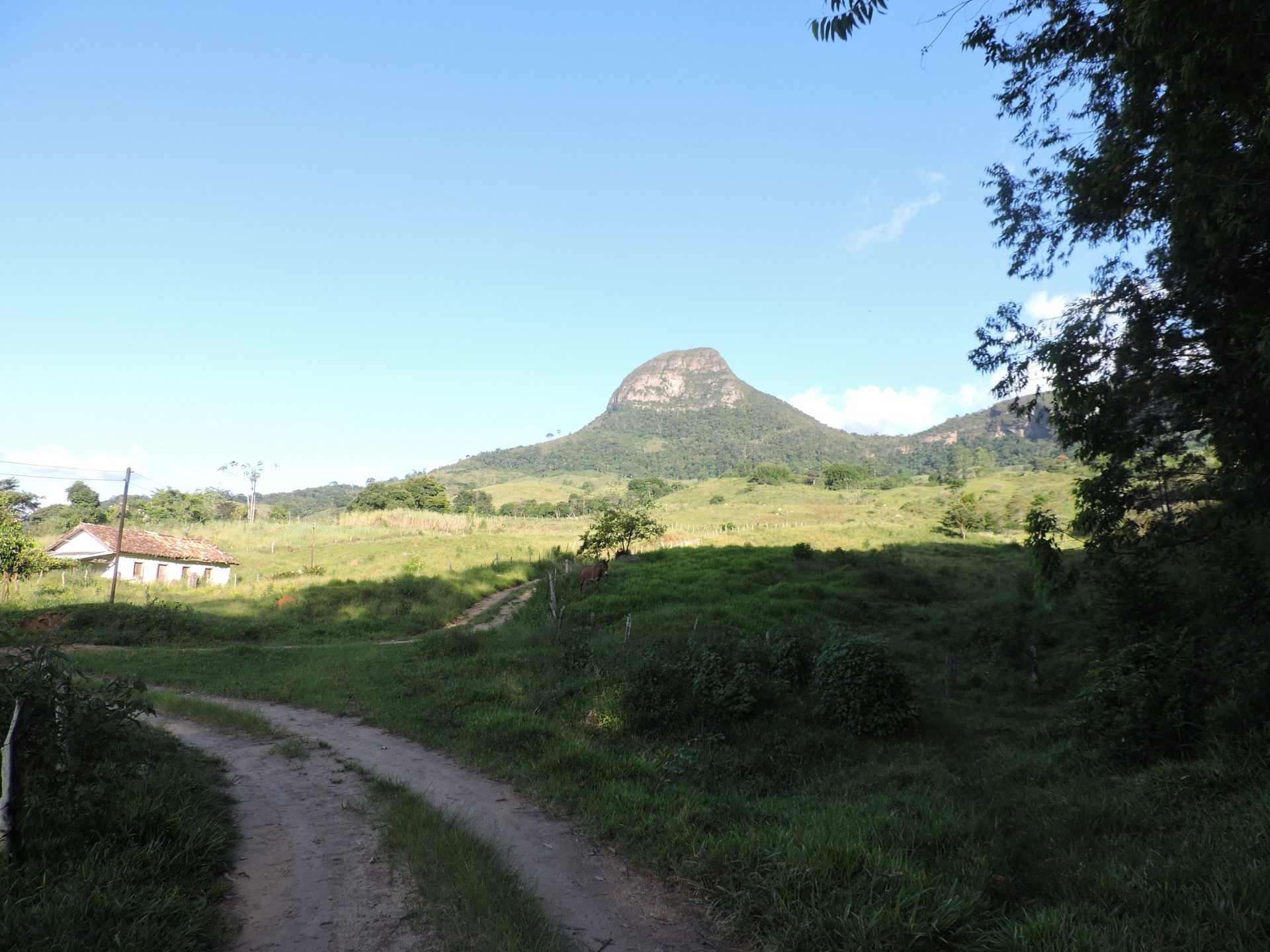 Pico do Pão de Angu