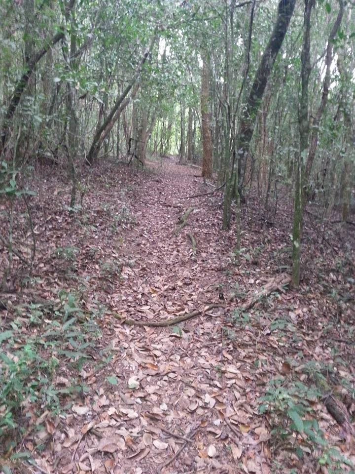 Parque Florestal “Eurico Figueiredo”