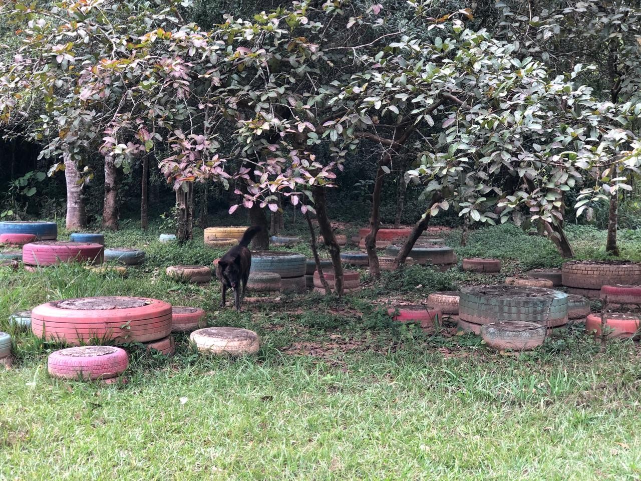 Parque Florestal “Eurico Figueiredo”