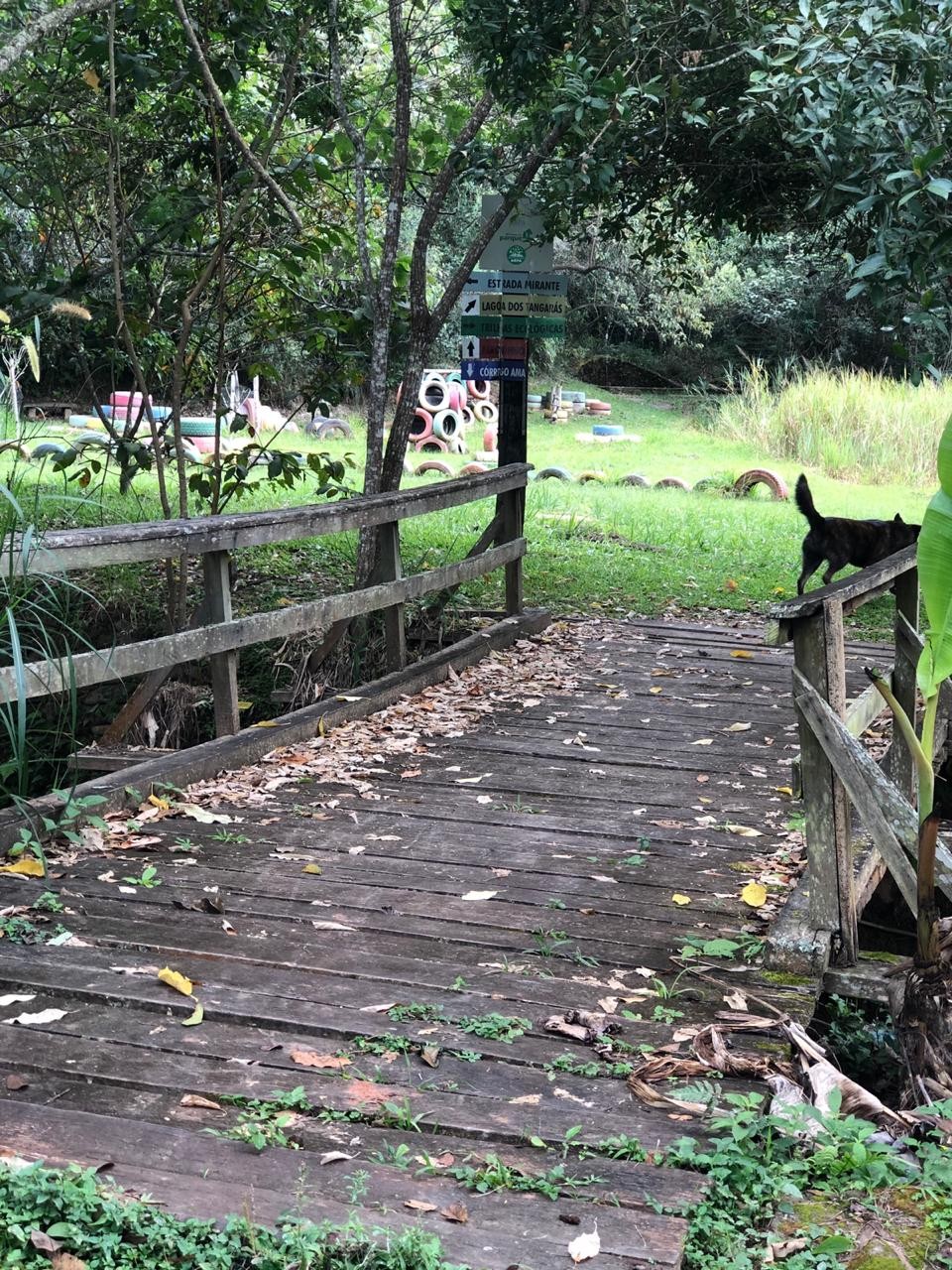 Parque Florestal “Eurico Figueiredo”