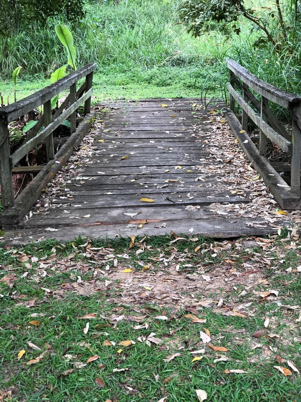 Parque Florestal “Eurico Figueiredo”