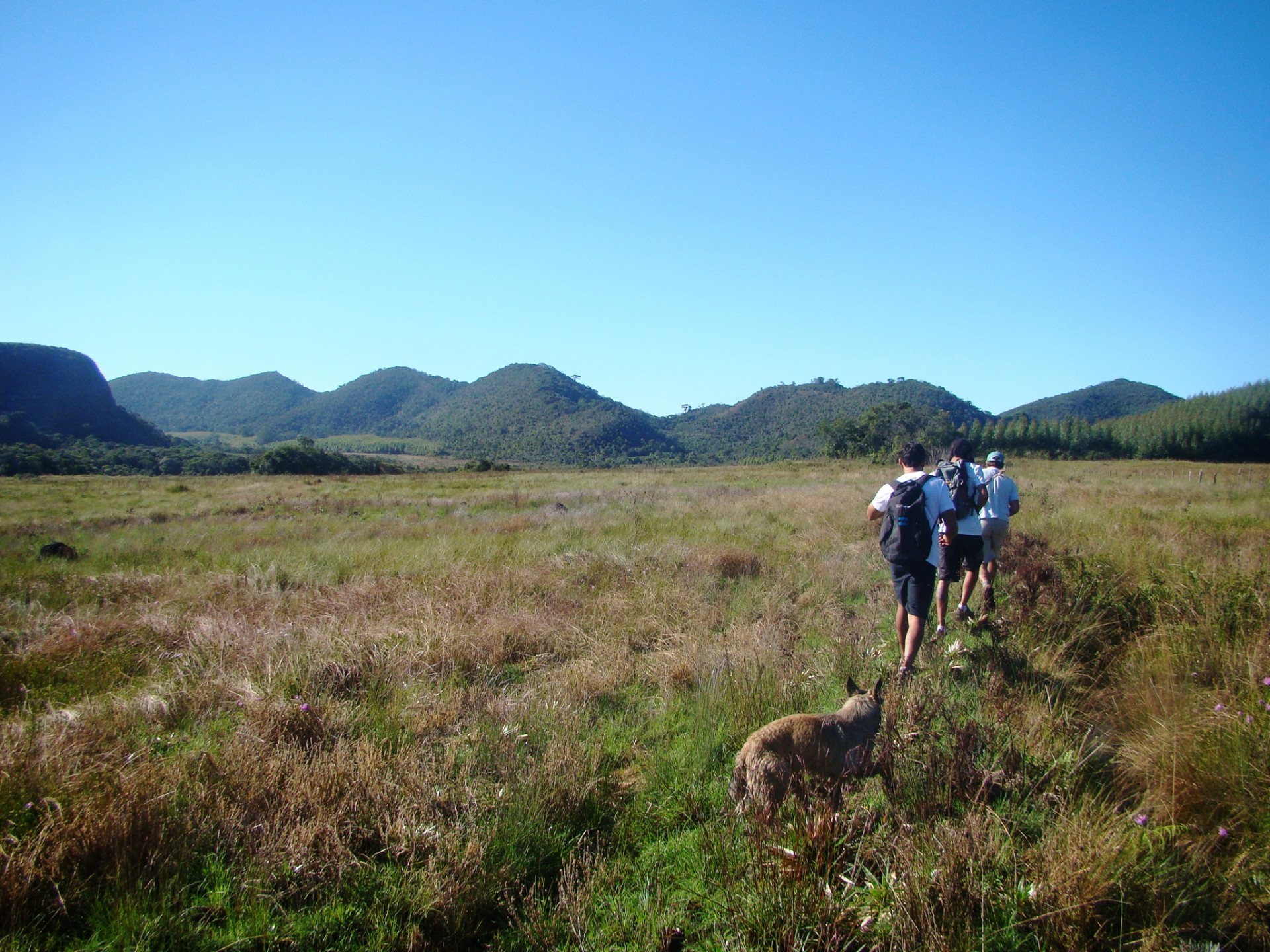 Serra da Mira