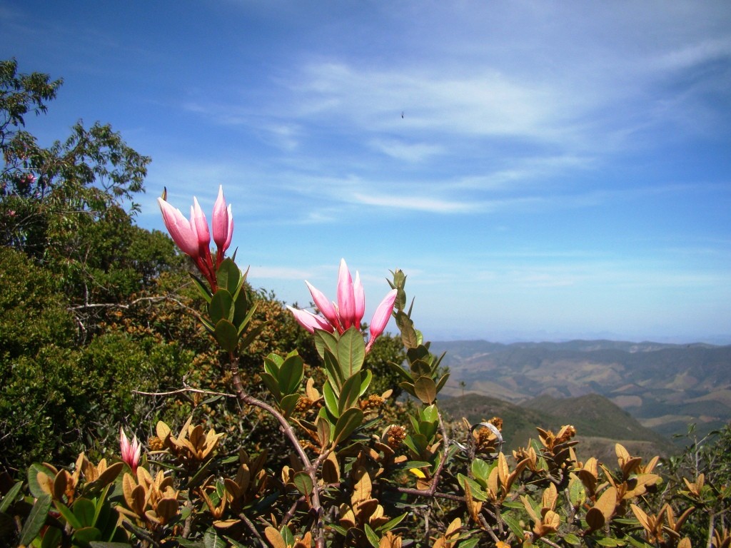 Serra das Flores 