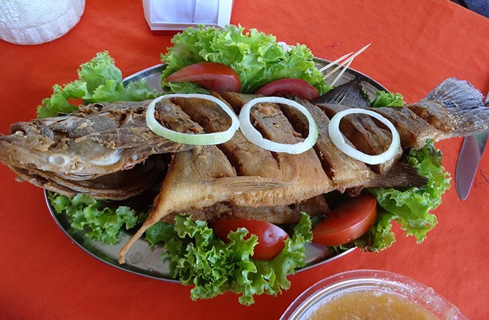 RESTAURANTE E PESQUE PAGUE FAZENDA 