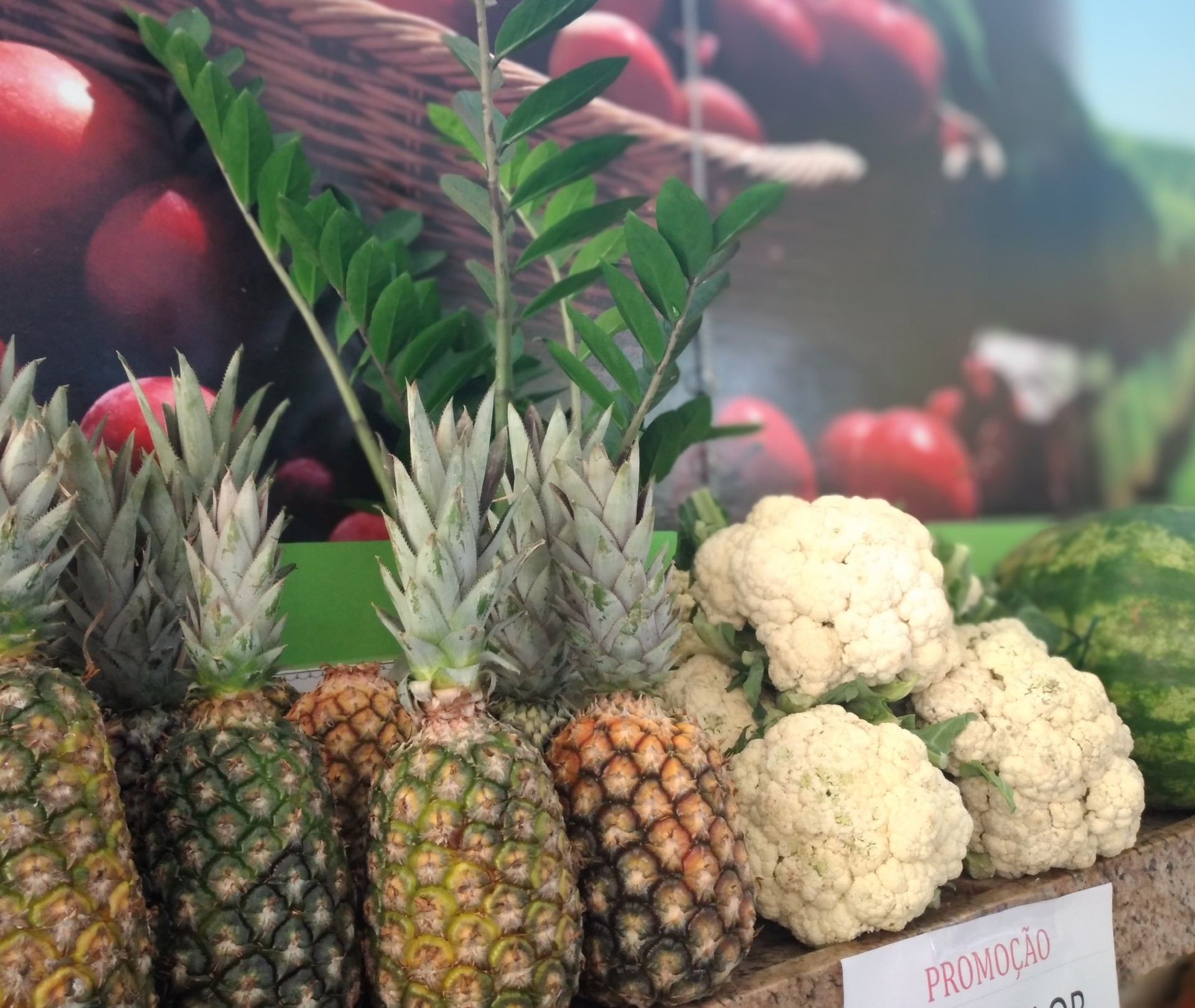 Horti Fruti Amigão