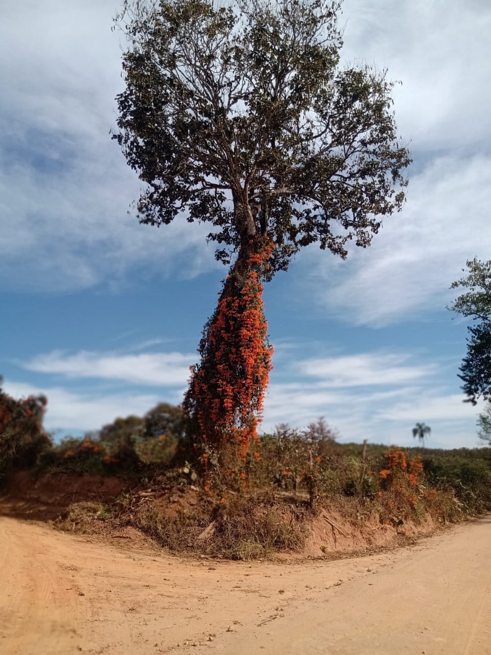 Serra do Cavaco