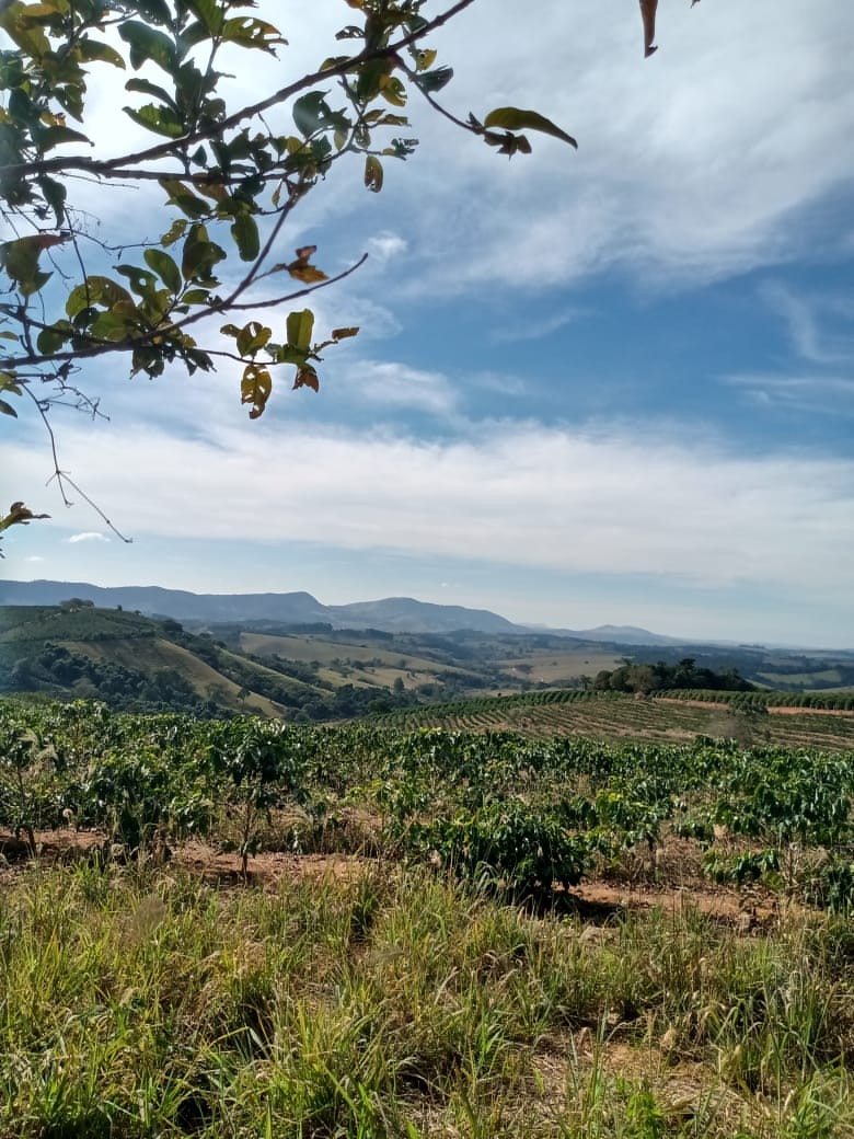 Serra do Cavaco