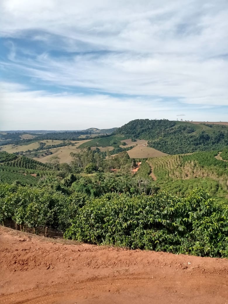Serra do Cavaco