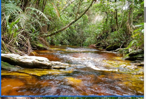 Cachoeira da Caveira