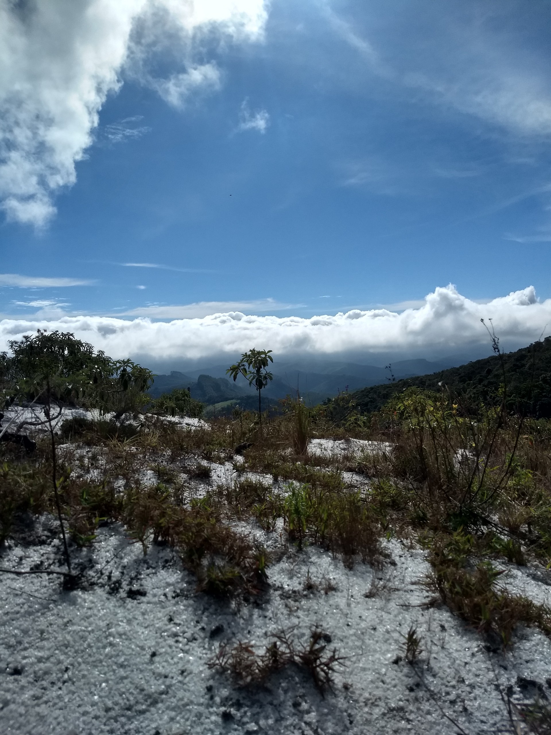 Pico da Cruz do Negro 