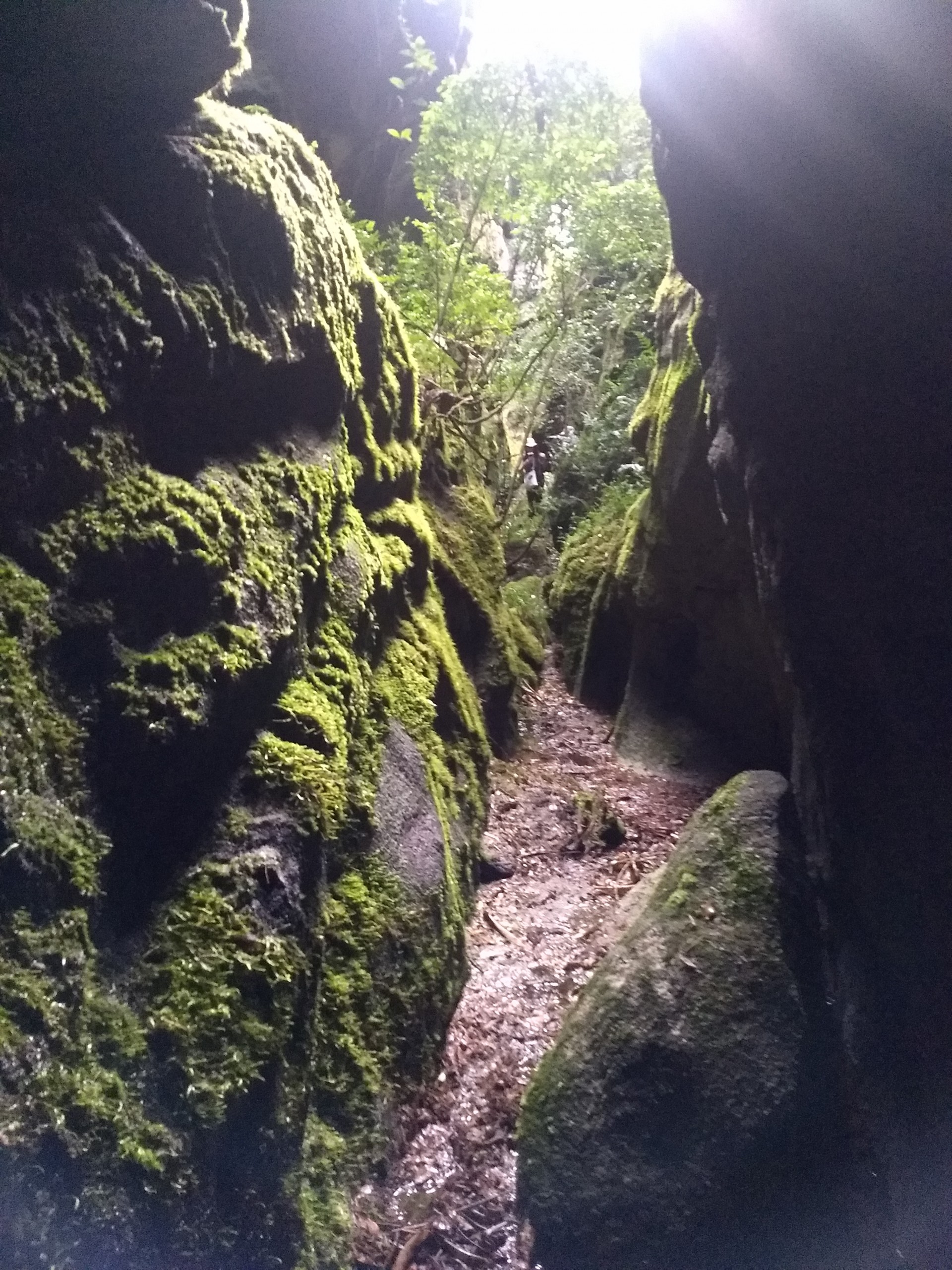 Pico da Cruz do Negro 
