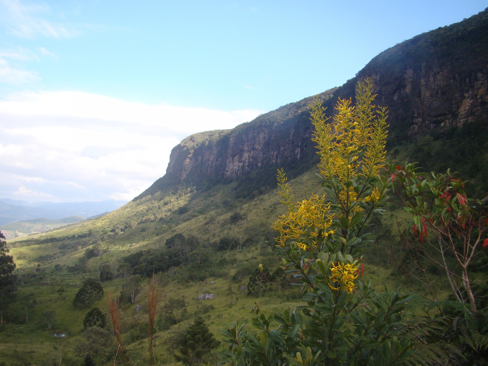 Serra do Cruz