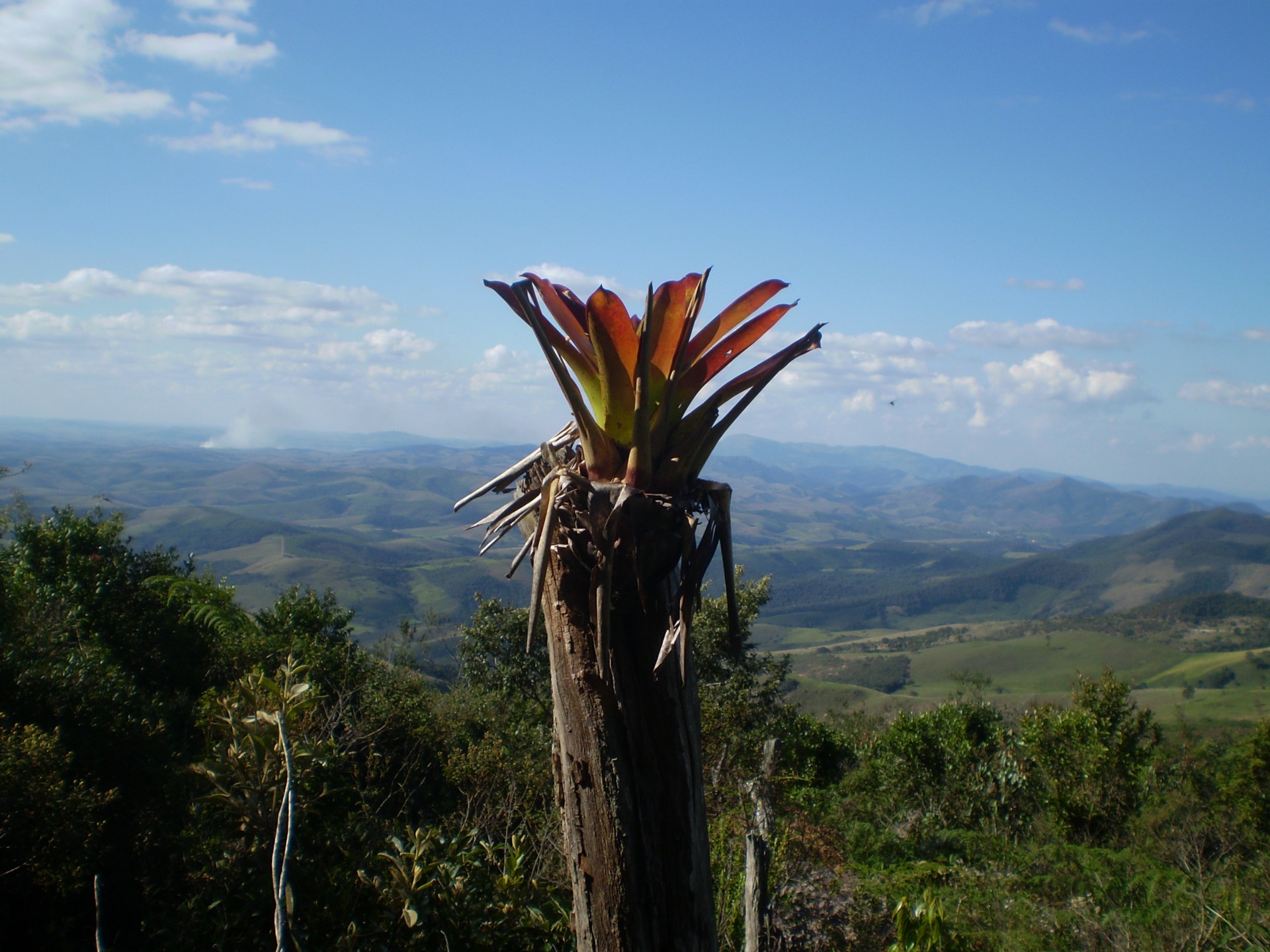 Serra do Cruz