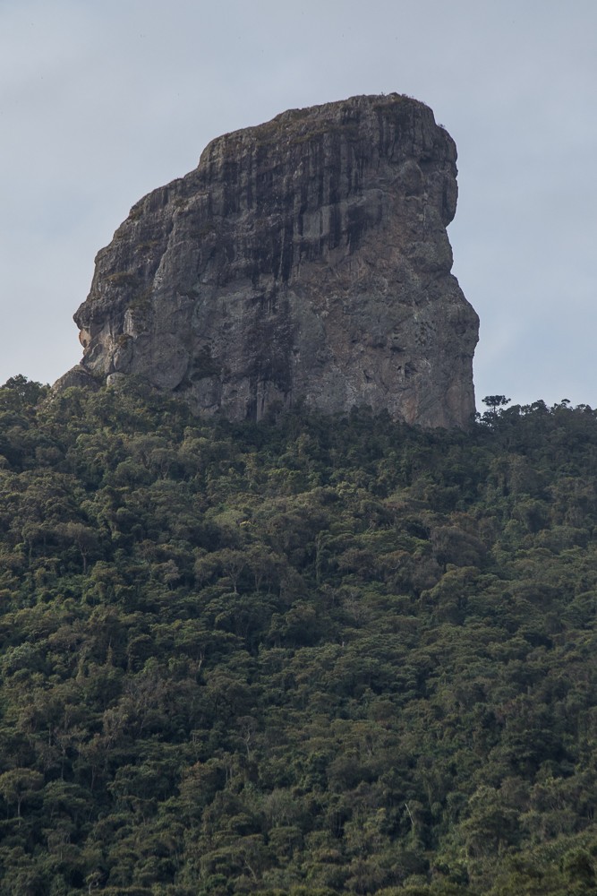 Pedra do Picu