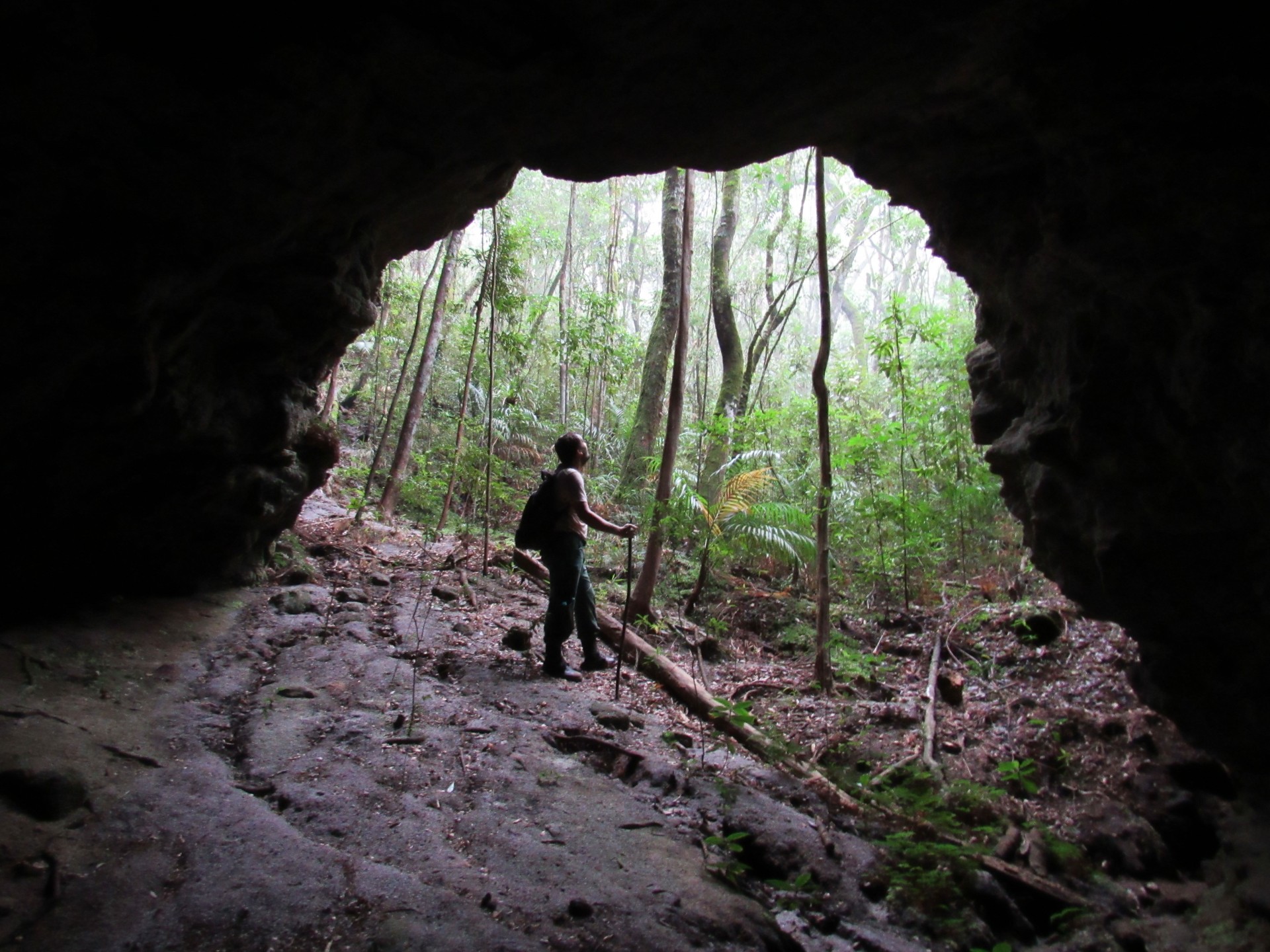 Parque Estadual Serra Negra da Mantiqueira