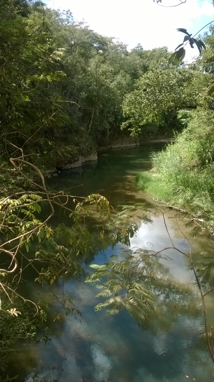 Indaiazinho
