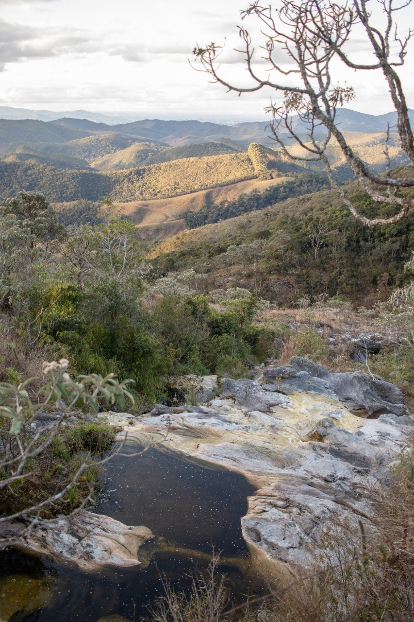 Panelões