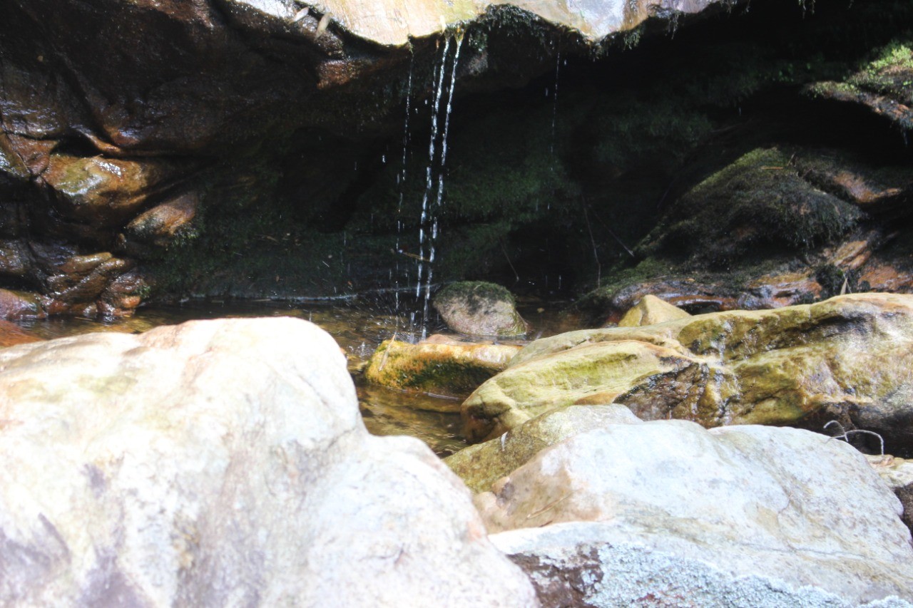 Cachoeira da Pedra Amarela 