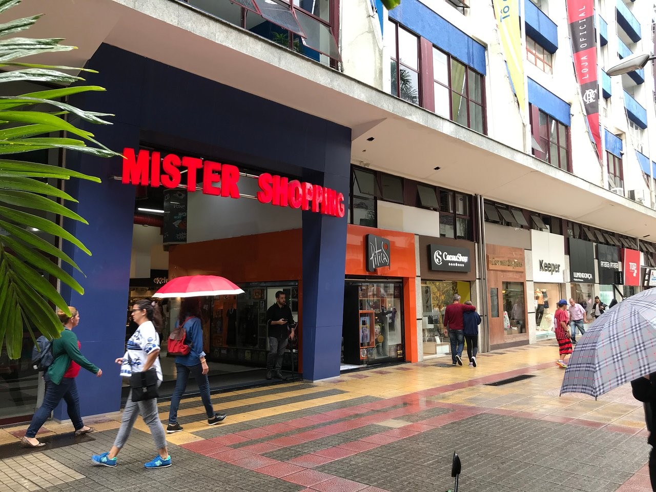 Mister Shopping 	