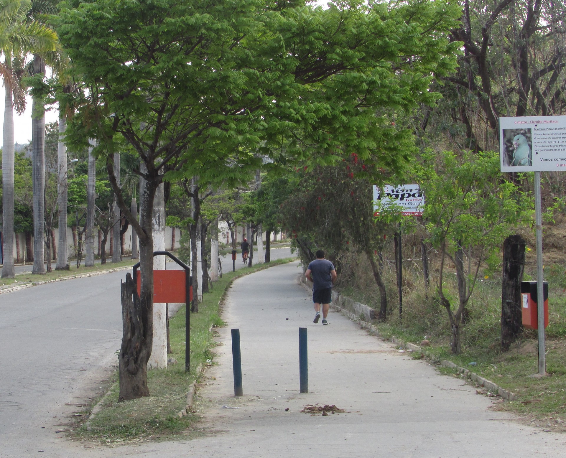 Pista de Cooper Fazenda Modelo