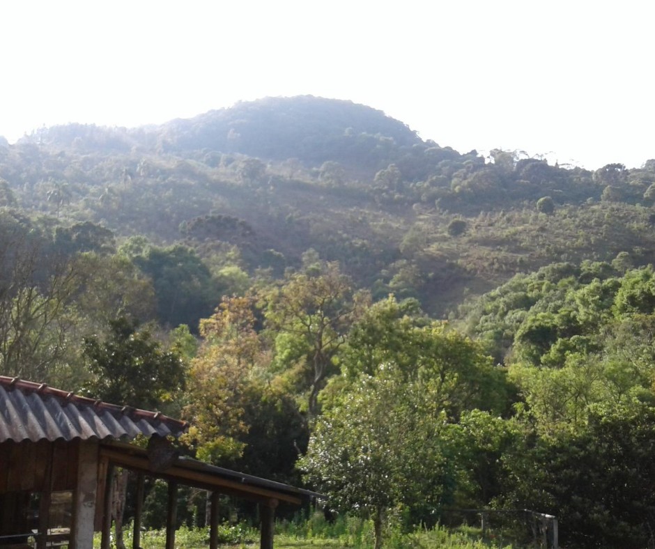 Sitio Tertulia Ecoparque