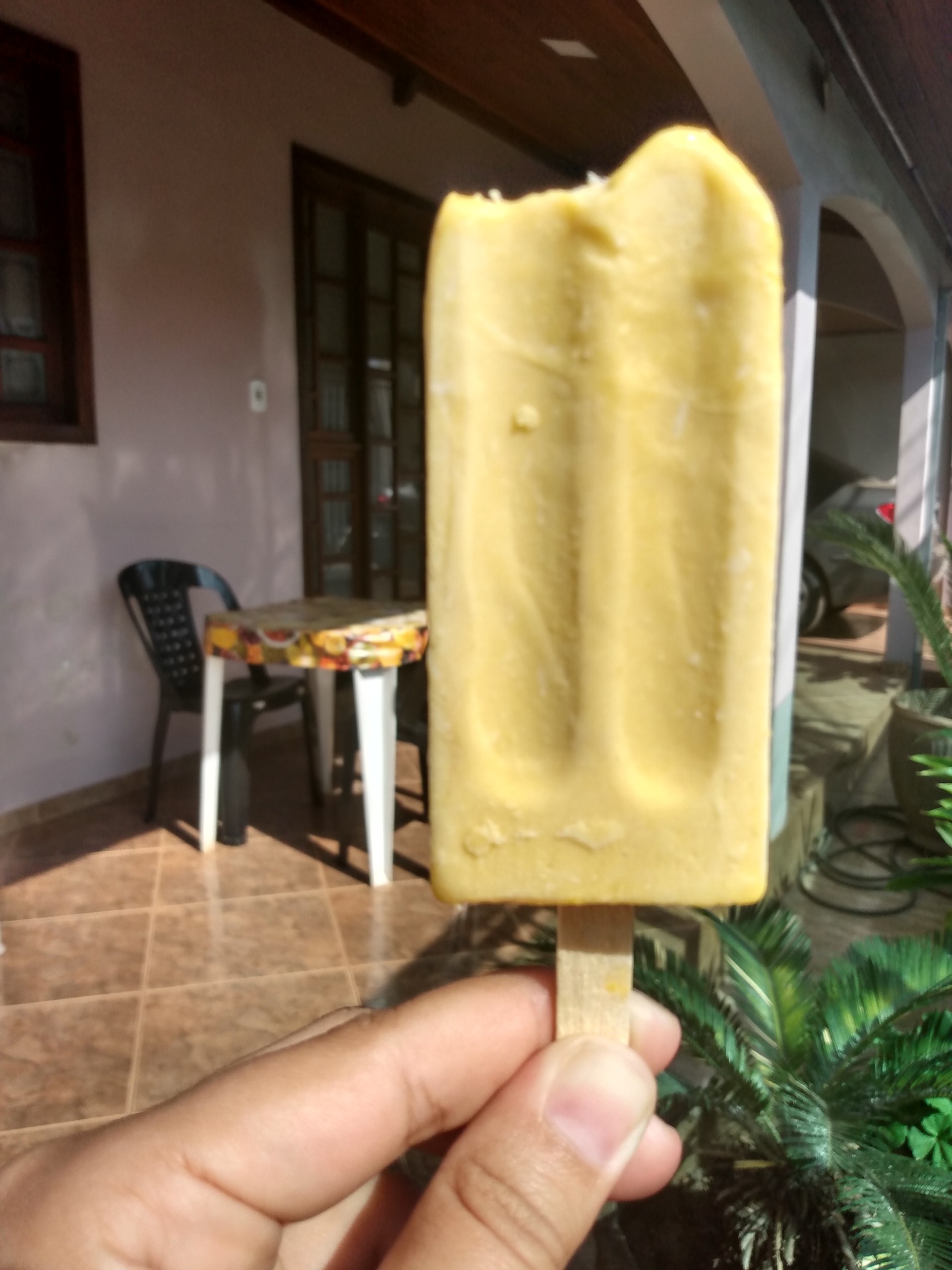 Sorveteria Picobom