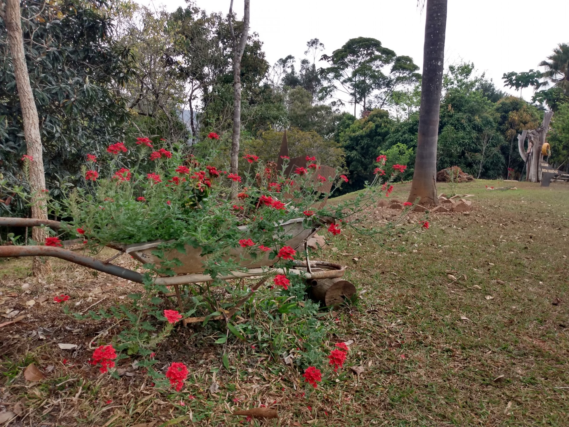 Fazenda Soledade